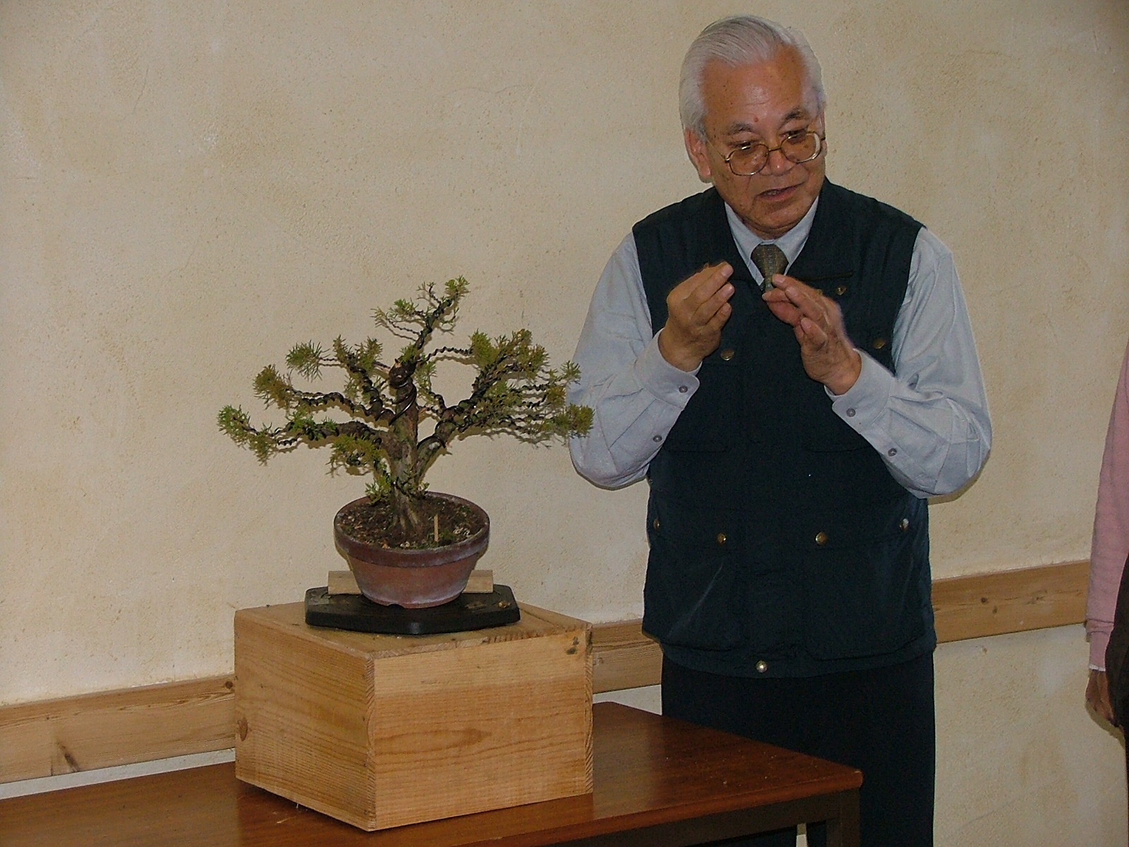 [JuniperusChinensis.Jap.200811.07.jpg]