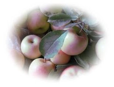 how long to cook chicken wings in the oven at 275