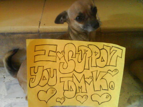 [502552685_RIVKAMGLBAAYKIR[1].jpg]