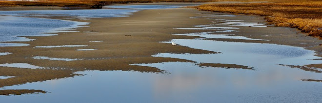 Low Tide at the Ogunquit River