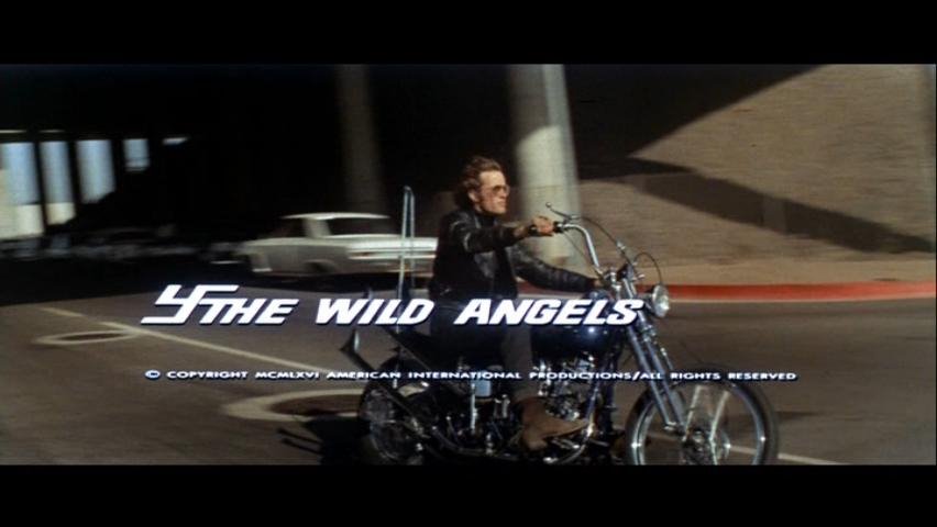 [WILD_ANGELS-0.bmp]