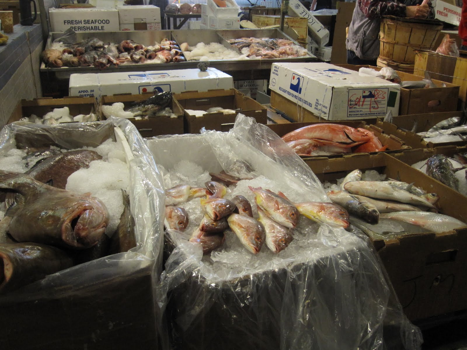 THE TIFFANY BLUE CHEF The New Fulton Fish Market Hunts Point