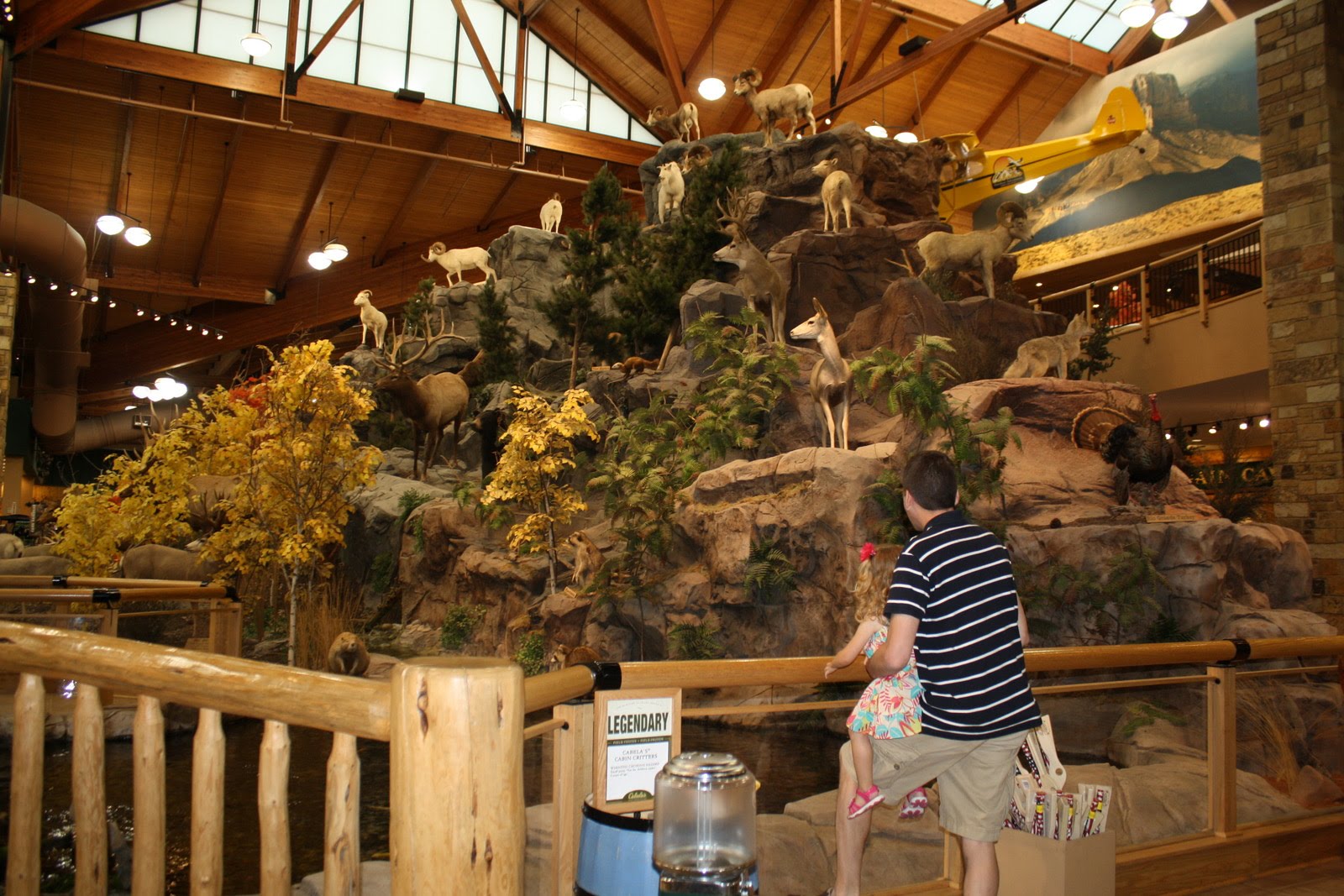 Milla's Many Adventures Dog Days of Summer & BJ's...