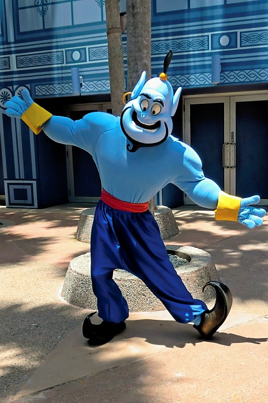 Unofficial Disney Character Hunting Guide: Random Character Appearances