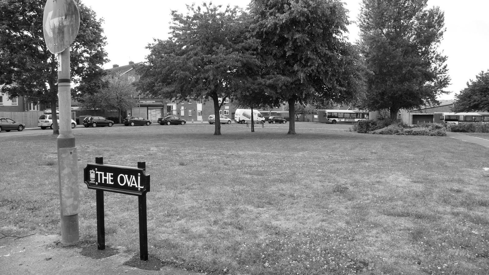 Oxford Daily Photo The Oval Rose Hill