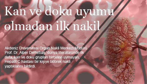 [kan+ve+doku.jpg]
