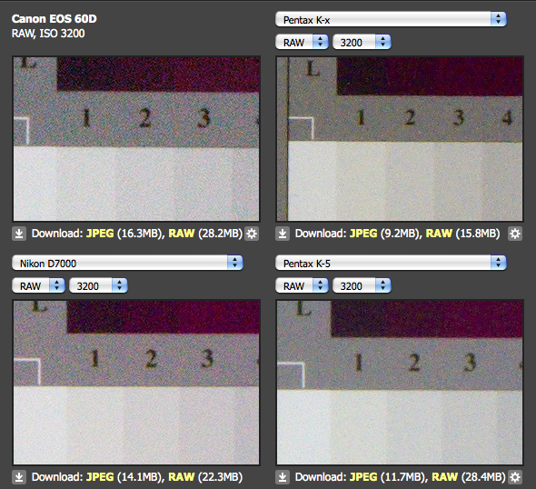 Fotografie Wildlifephotography Pentax K5 vs. Canon EOS 60D vs