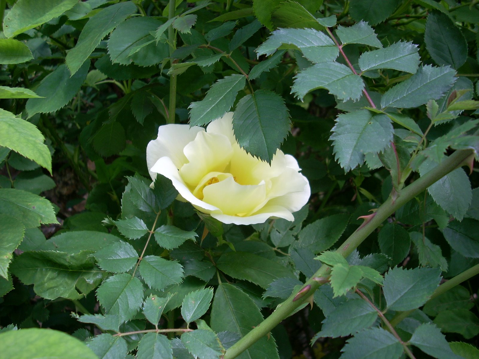 [Dimanche+24+015.jpg]