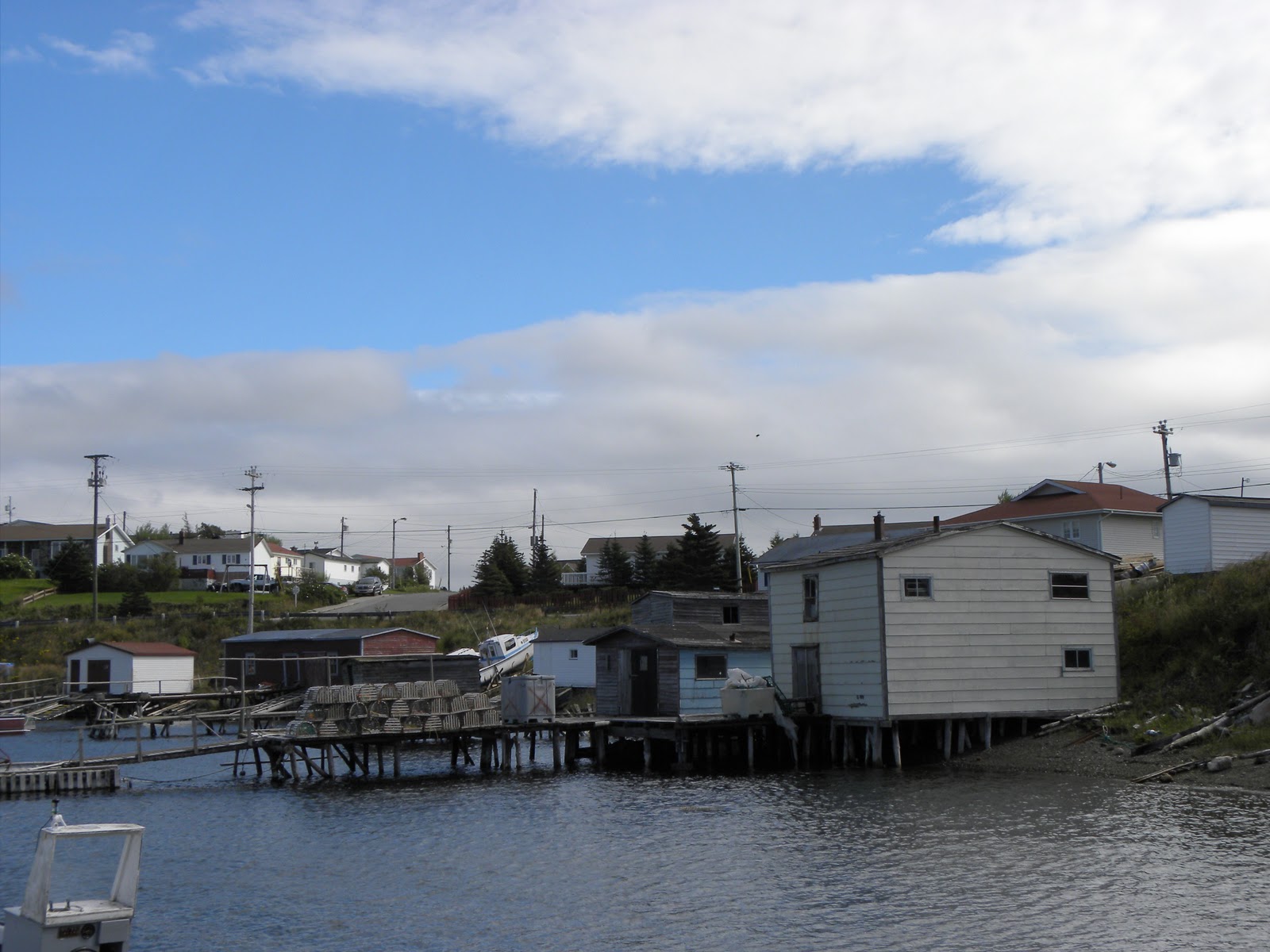 Newfoundland Journal Arnold's Cove Martha Horman