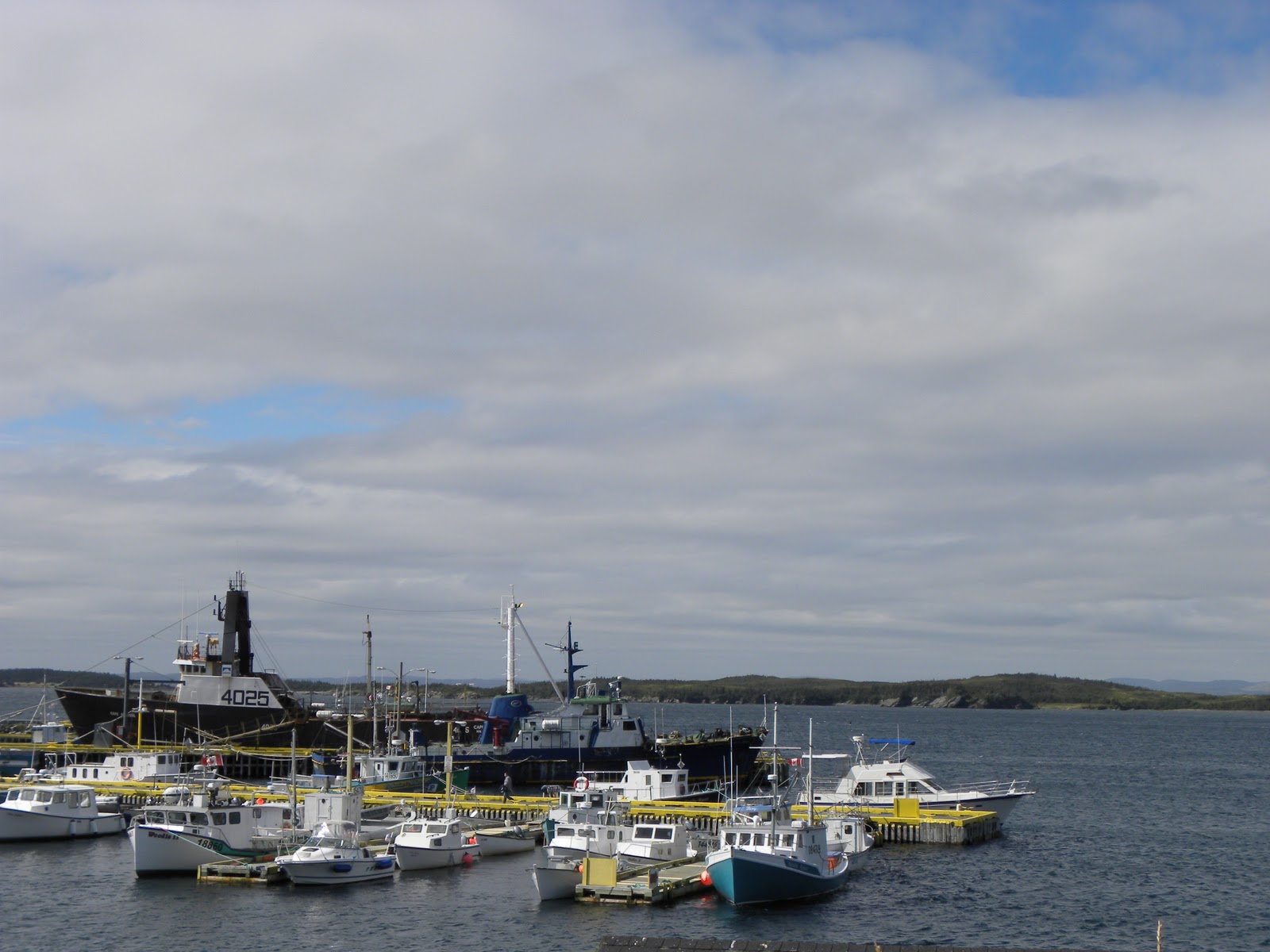 Newfoundland Journal Arnold's Cove Martha Horman