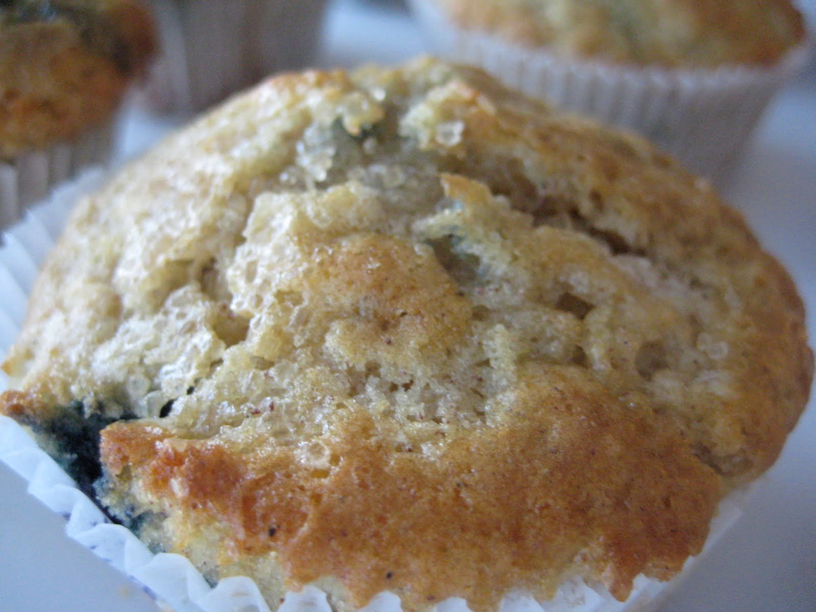 Blueberry Muffins with Coarse Sugar Topping A Bountiful Kitchen