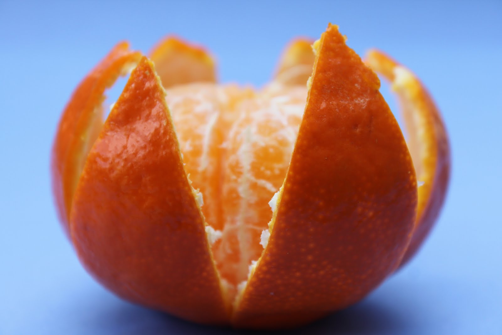 Мандарин белок. Клементин фрукт. Мандарины Clementine. Клементин гибрид апельсина и мандарина.
