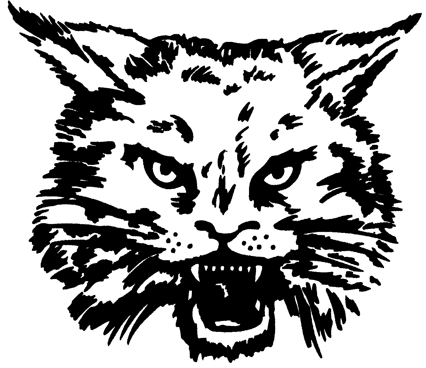 [Cside+Wildcat+black.jpg]