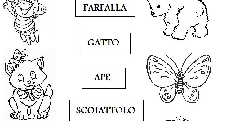 Scheda Collega E Colora Per Prima Elementare