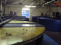 washbacks at pulteney distillery