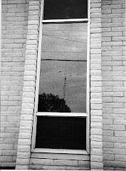 Reflections #5