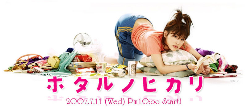 Review Carnival: Drama review- Hotaru no Hikari season 1&2