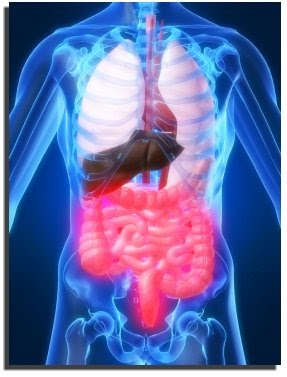 Dry Mouth Sjogren S Treatment Natural Dry Mouth Sjogren S Treatment Natural
