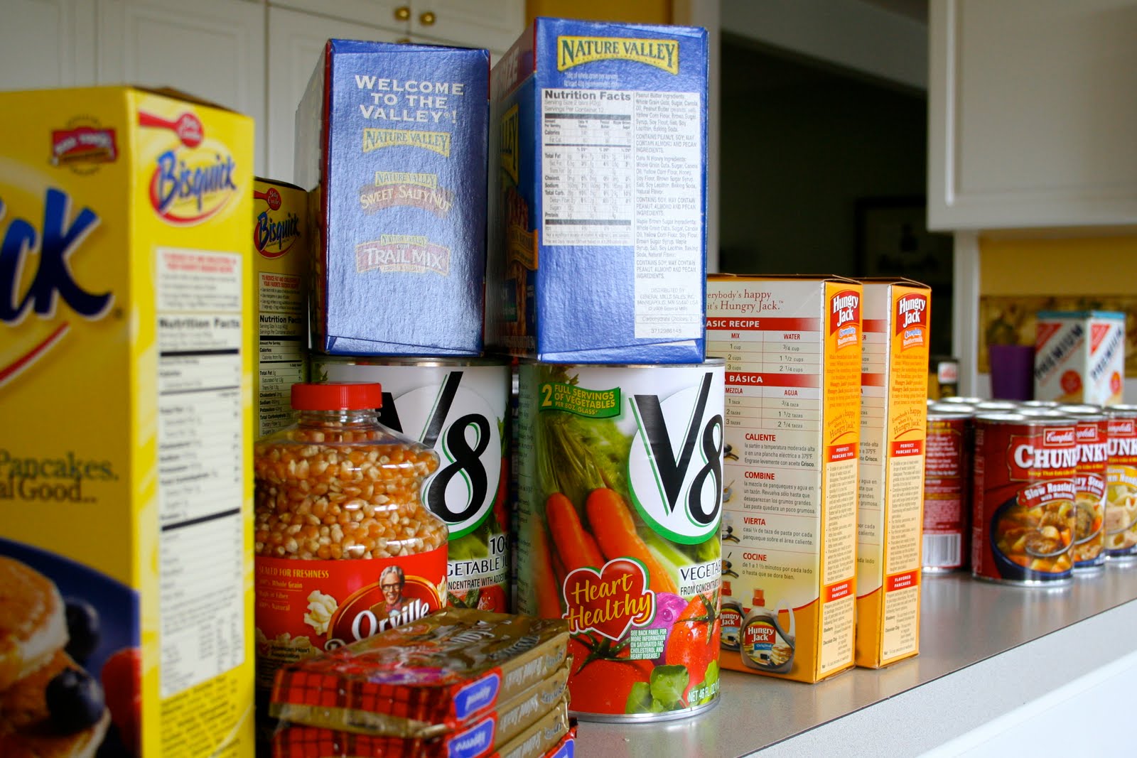 Reasonably Well What's in Your Disaster Survival Kit?