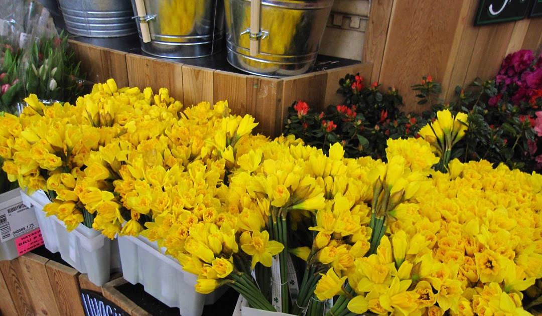 Trader Joe's Flowers And Plants Trader Joe S Plants That Are