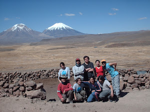 Equipo de Trabajo