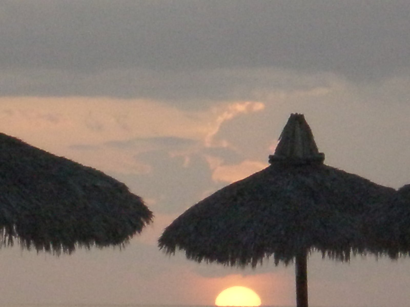 [Marco+Island+2009+025.jpg]