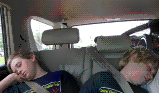 [Cropped+Dolphin.gif]