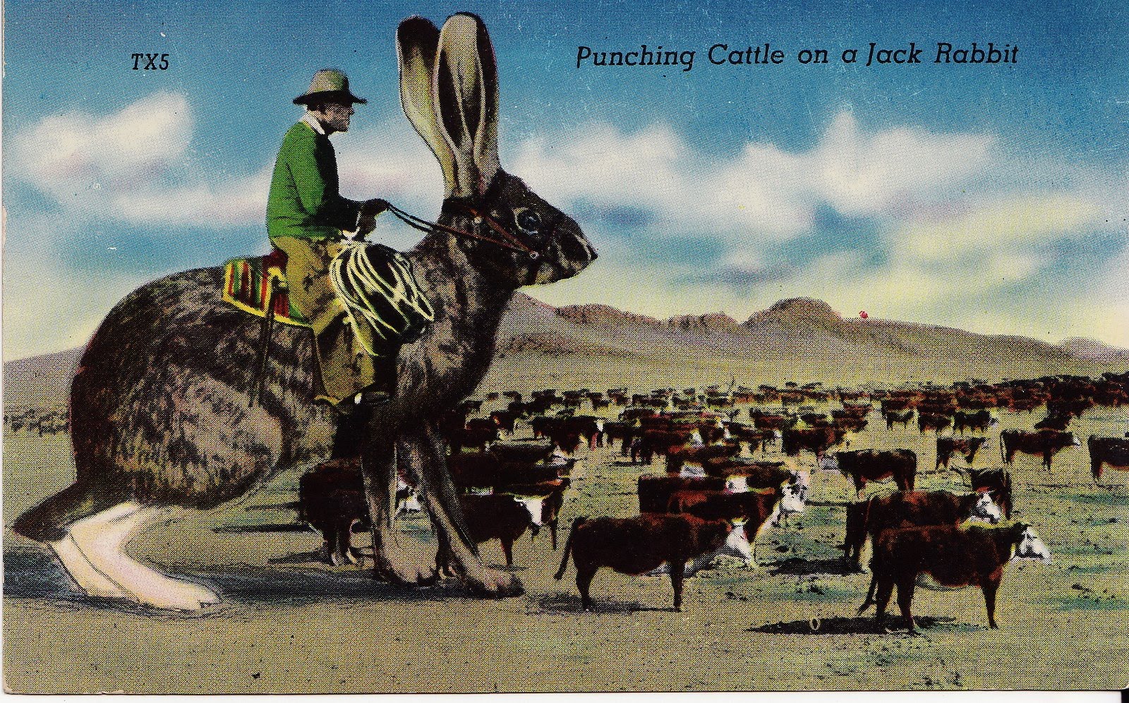 The Burnt Selena Project: Wonderful World of Clutter: Cattle Punching ...