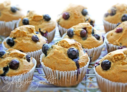 Gluten-free blueberry corn muffins