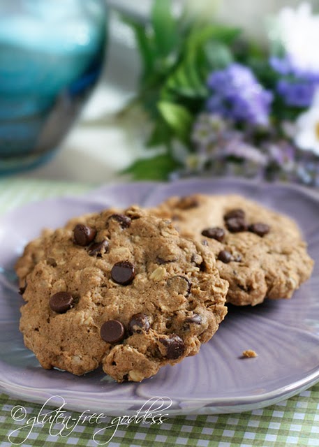 Gluten free chocolate chip oatmeal cookies