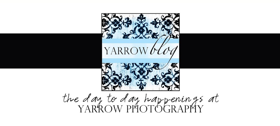 Yarrow Photography