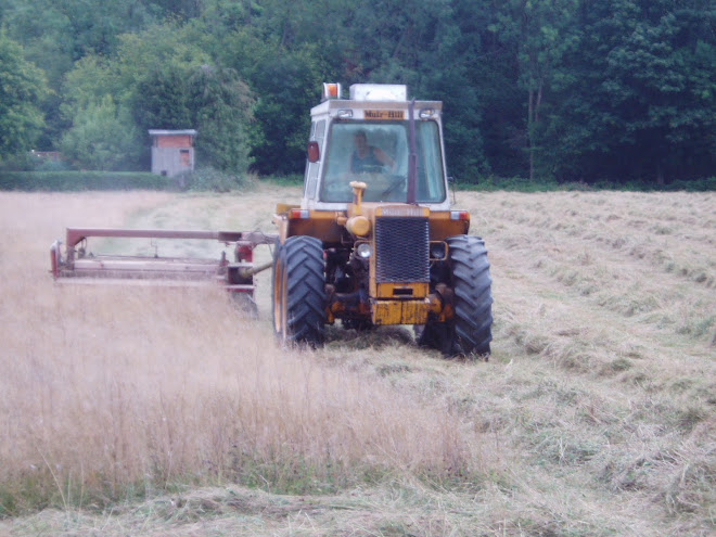 Cutting the hay 20 Aug 2010
