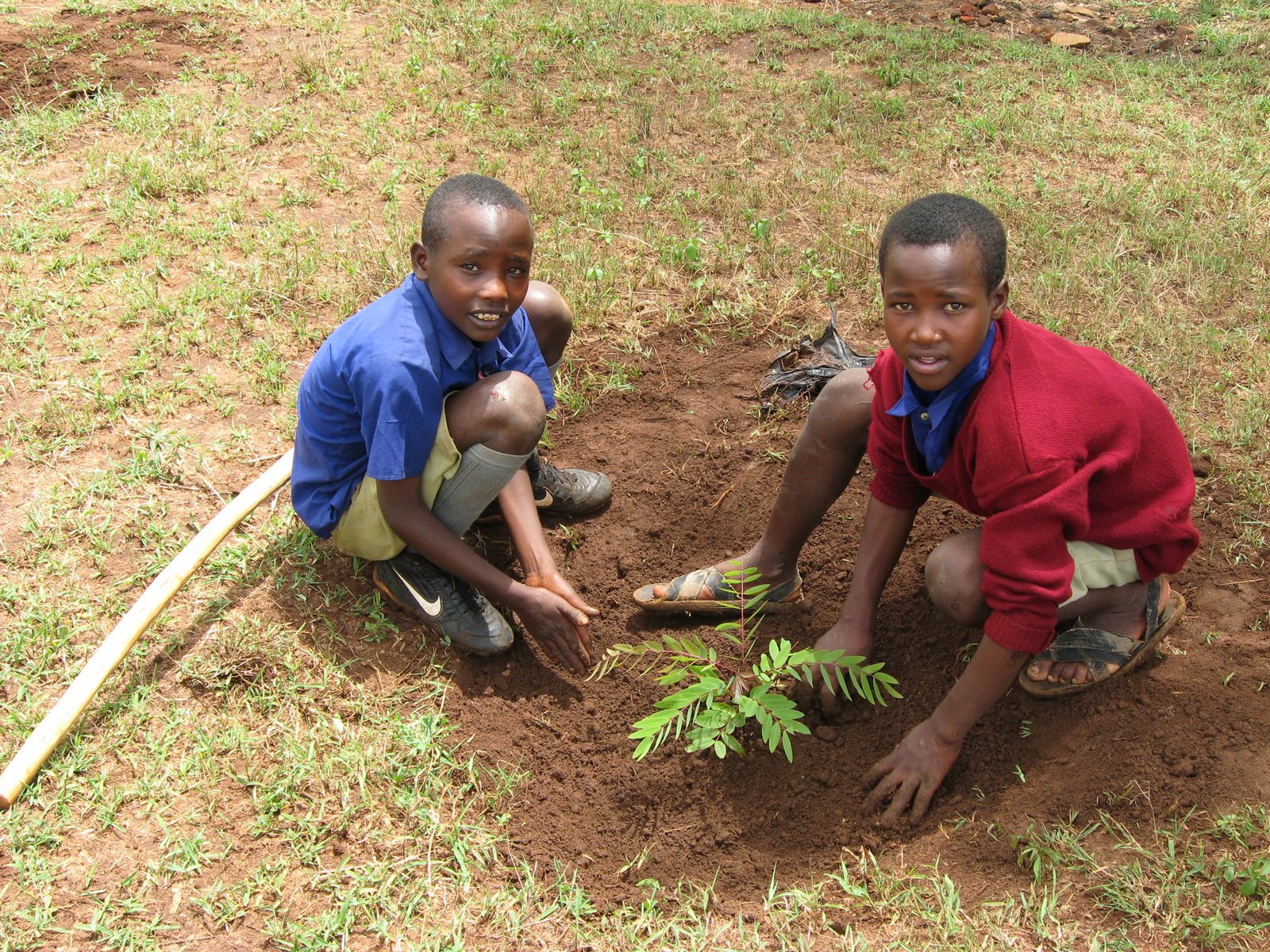 [treeplanting+at+school.JPG]