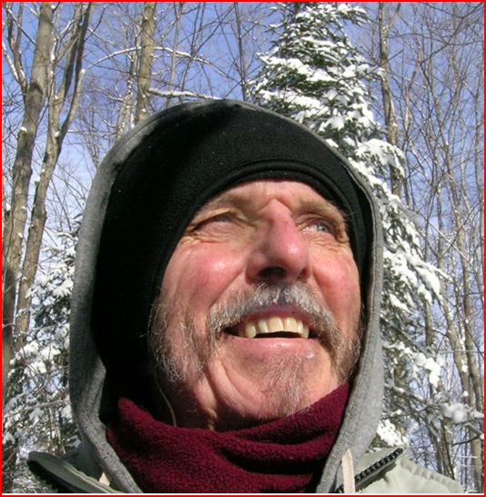 A Portrait of the Visual Arts in Canada John Parson Arm Wrestles with