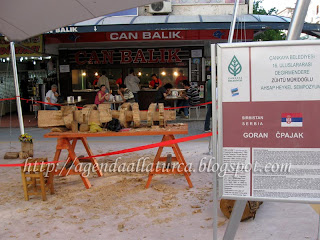 Mostra de Esculturas de Madeira em Ancara