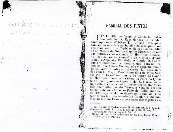 livro a "Família dos Pintos"