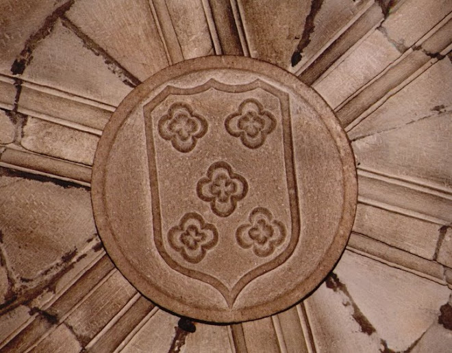 Pedra de Armas dos Lemos, em Viseu