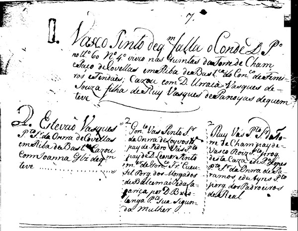 Genealogia manuscrita da família Pinto