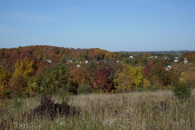 view east from Thayer Hill, along Crescent Trail, Town of Perinton NY