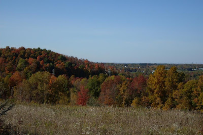 view from Thayer Hill, along Crescent Trail, Town of Perinton NY