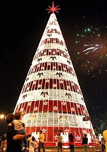 [arvore_ibirapuera.jpg]