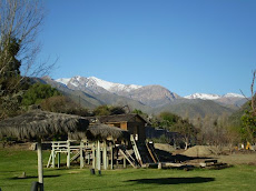 El paisaje de Monte Patria dio un entorno natural al encuentro de la red apícola de Chile