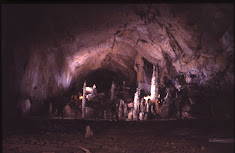 CONTACTA CON NOSOTROS