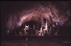 CONTACTA AMB NOSALTRES