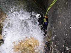 FÓRUM-TAULELL D'ANUNCIS