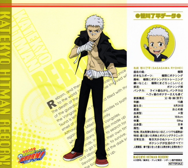 KATEKYO HITMAN REBORN Vongola Decimo Characters