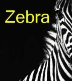 Events and activities: follow Zebra