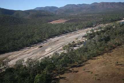 Ella Bay Forever: Rare Golden sleepy cod threatened by TERM sand mining ...