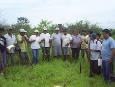 Reforestación en Vega Honda - Chulucanas