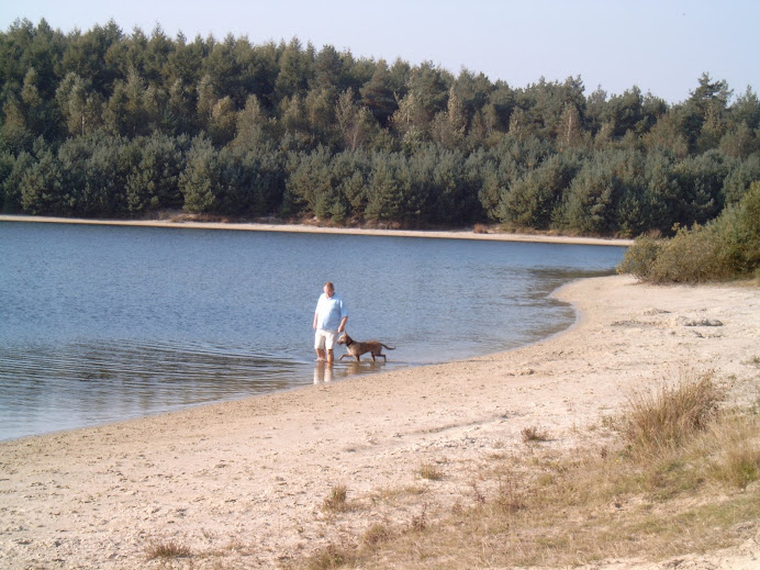 De Wandeling